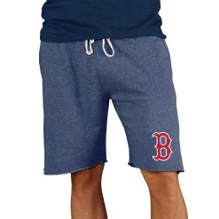 Men's Boston Red Sox Concepts Sport Navy Mainstream Terry Shorts