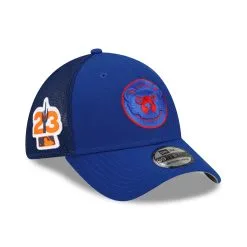Men's Chicago Cubs New Era Royal 2023 Spring Training 39THIRTY Flex Hat